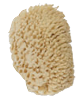Yellow Sea Sponge. Bath & Body products. Body Wash. Daily Body Wash. Shower.Bath. Body scrub. Bubble Bath. Eco-Friendly. bath accessories Natural sea sponge.